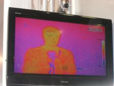 Knut in der Wärmebildkamera